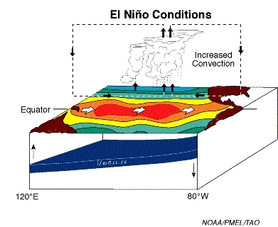 Is El Nino Back? - Article by Deb Murphy - Vimarsana News