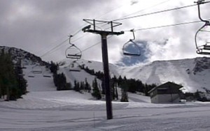 mammoth chair 1