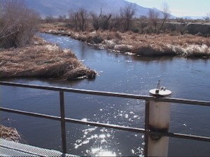 Overflow of Owens River