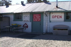 The current animal shelter was an old milk barn, not designed to house pets and people.