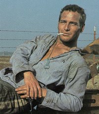Cool-Hand-Luke