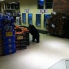 Photo of bear in Vons went viral on Facebook.
