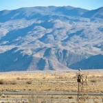 DWP's solar site sits to the east of Manzanar