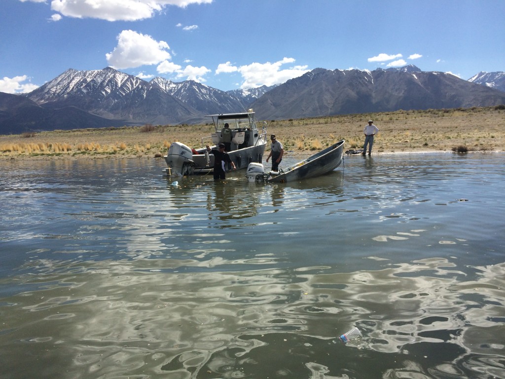 Capsized boaters rescued on Crowley Lake Sierra Wave Eastern Sierra