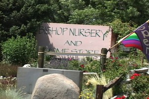 bishop nursery 2