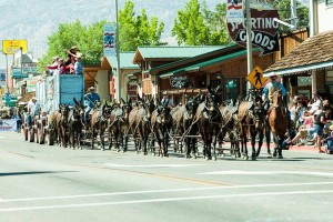 Bob Tanner and the 20 mule team mule days parade