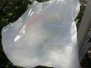 plastic bag