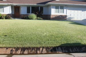 This isn't wasteful lawn sprinkler run-off, it's groundwater running over the curb. 