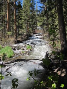 wx rock creektrail e1465403167563