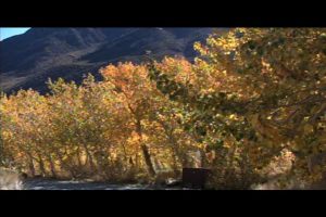 Inyo fall 1