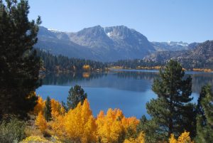 June Lake Loop Fall Foliage photo credit Alicia Vennos MonoCounty.org