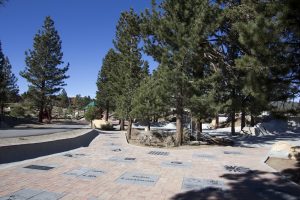 New skate park donor plaza small