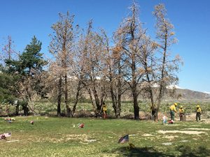 Lone Pine Cemetary mcDivitt 3