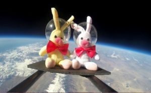 Space Bunnies