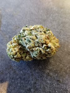 marijuana bud e1512169472220