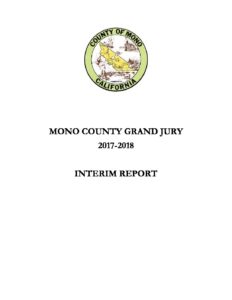 2017 2018 Grand Jury interim report Final pdf