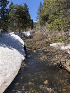 WX Mammoth Creek BR 2019 e1558382718722