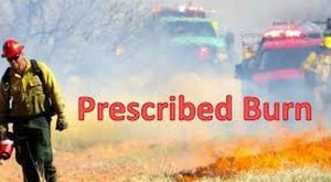 Prescribed Burn