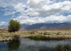 fish slough Bishop CA