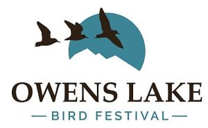 Owens Lake Bird Festival 2020 2
