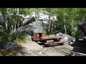 empty campground