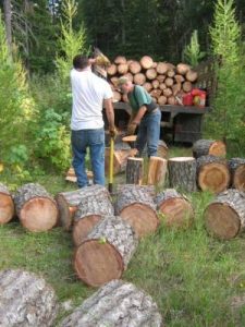 CollectingFirewood