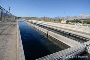 Fish Springs Hatchery