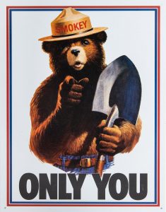 1200px Smokey Bear Only You campaign hat