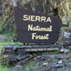 Sierra-National-Forest (2)