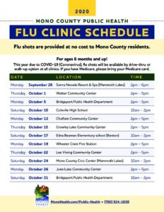 TOML flu flyer FINAL pdf