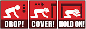 earthquake shakeout drop cover hold on