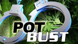 pot bust