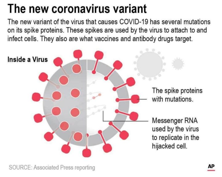 Covid-19 Variants Present Increased Infection Risks | Health ...