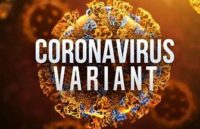Coronavirus variant
