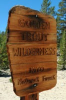 Golden Trout Wilderness wood