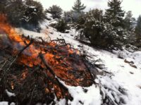 Inyo National Forest burning brush piles
