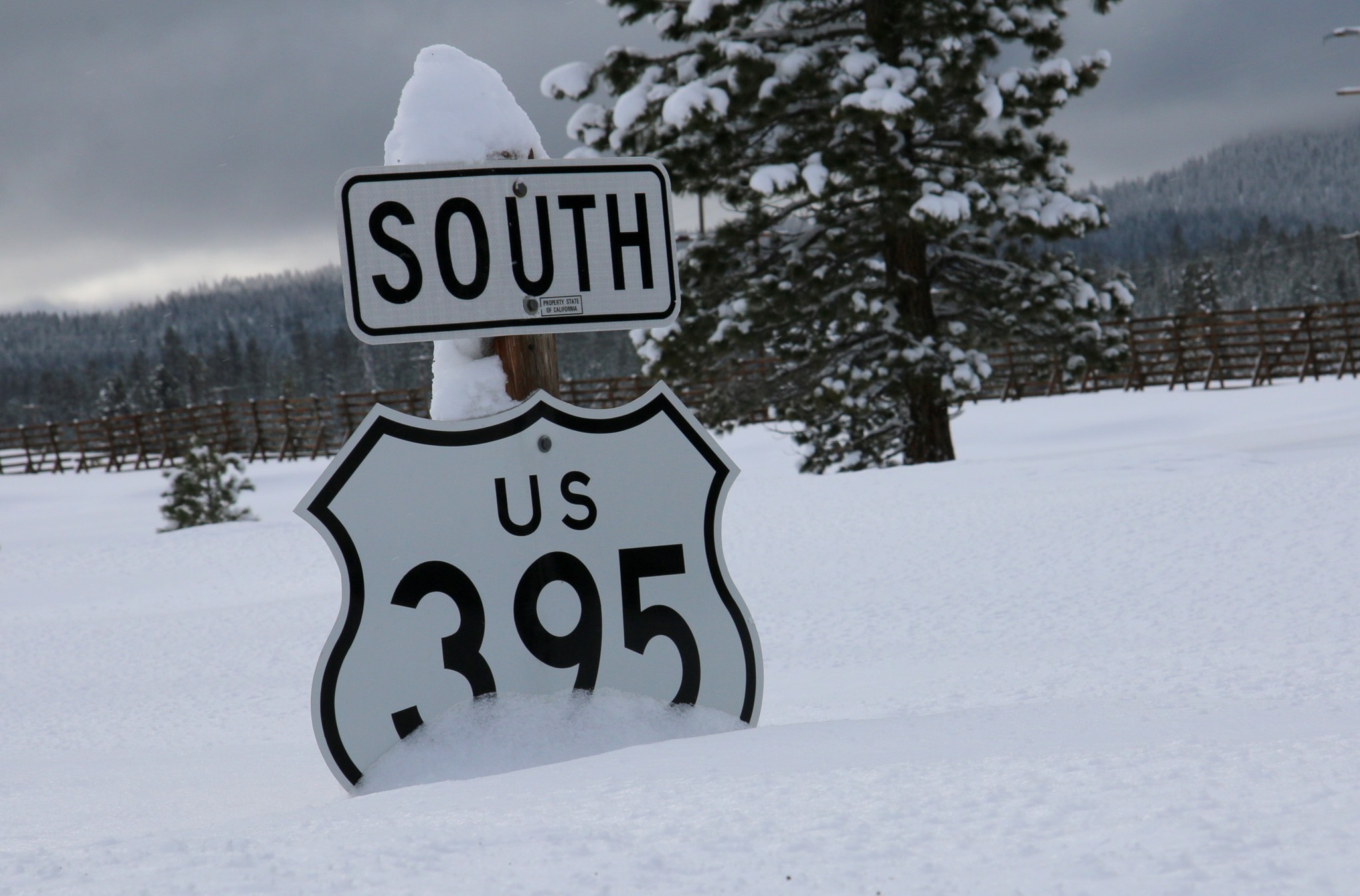 Compter avec des images - Page 21 395-hwy-sign-buried-in-snow
