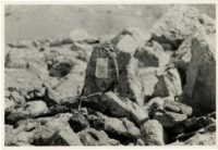 giichi burial site on Mt. Williamson 1