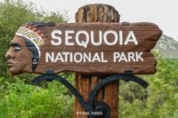 sequoia ash mountain entrance sign