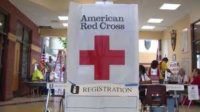 American red cross training