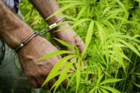 fs illegal marijuana blog 071118