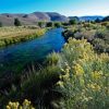 owens river wild headwaters