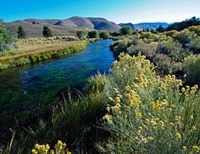 owens river wild headwaters
