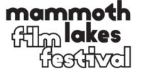 MLFF LOGO