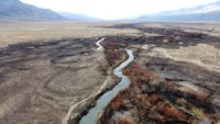 Warm Springs area Airport Fire