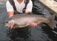 10.2 lbs. Desert Springs Trout Farm 2