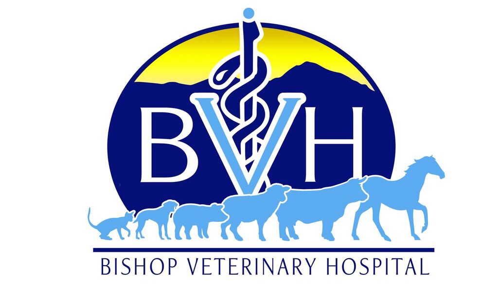 Veterinary Hospital Plans Approved by Planning Commission