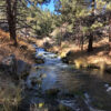 Inyo Forest Service