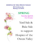 Spring 2023 Yard Sale 0