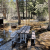 Moraine Campground, Mono Lake Ranger District